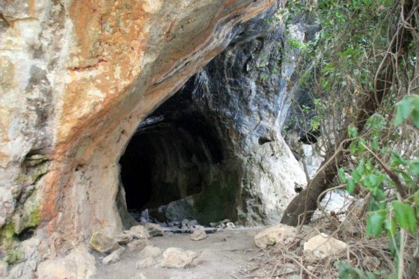 عين غزال / قرى جبل الكرمل | موسوعة القرى الفلسطينية