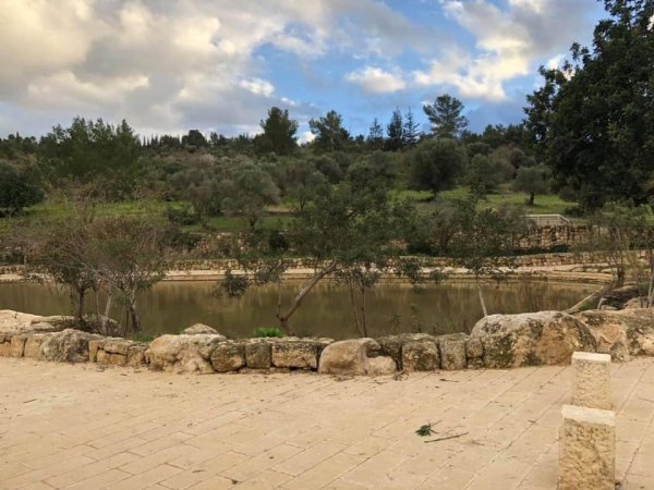 عمواس/ قرى اللطرون / بين رام الله والرملة | موسوعة القرى الفلسطينية