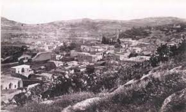 ترشيحا | موسوعة القرى الفلسطينية