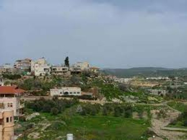 ترشيحا | موسوعة القرى الفلسطينية