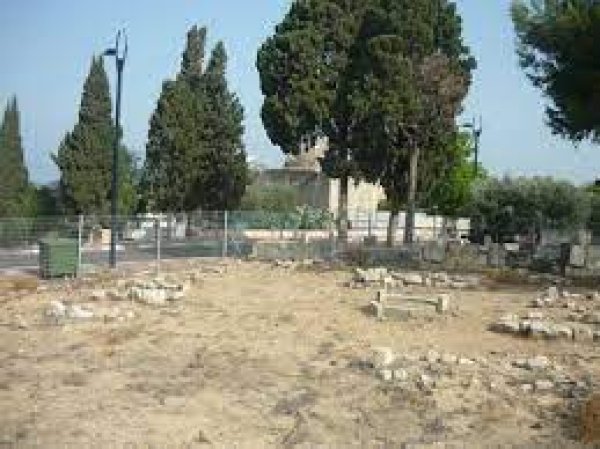 المنشية | موسوعة القرى الفلسطينية