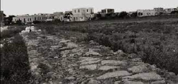 المنشية | موسوعة القرى الفلسطينية