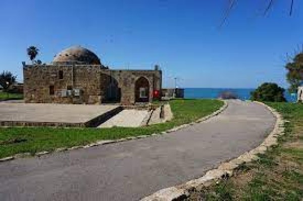 المنشية | موسوعة القرى الفلسطينية