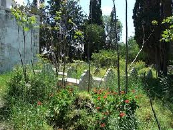 المنشية | موسوعة القرى الفلسطينية