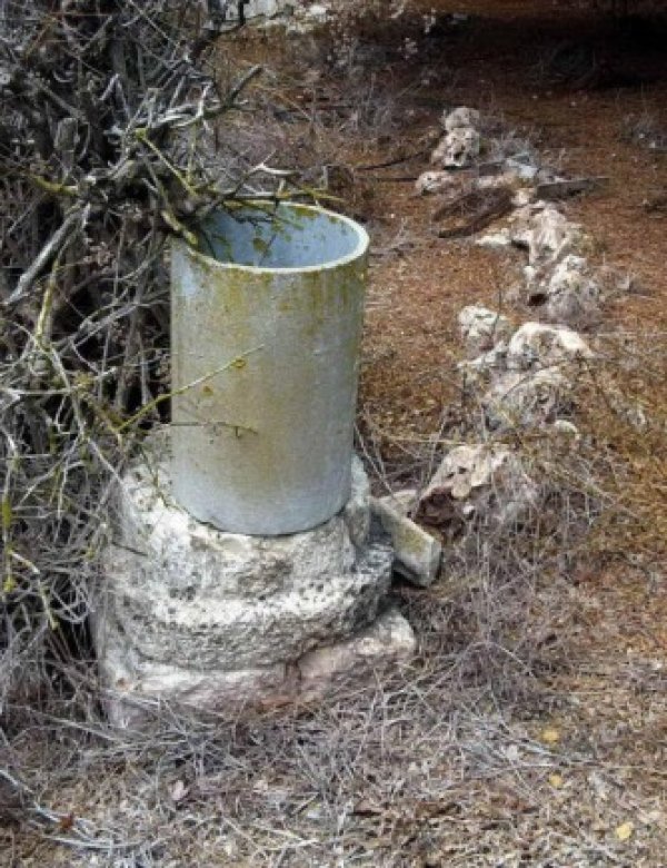 أم الفرج | موسوعة القرى الفلسطينية