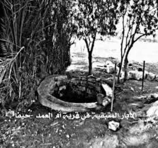 أم العمد | موسوعة القرى الفلسطينية