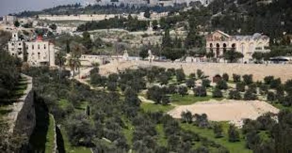 حي الطور / قرية الطور / جبل الزيتون | موسوعة القرى الفلسطينية