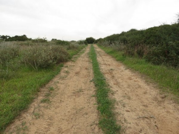 عرب الضمايرة | موسوعة القرى الفلسطينية