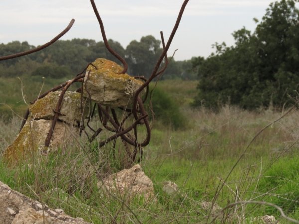عرب الضمايرة | موسوعة القرى الفلسطينية