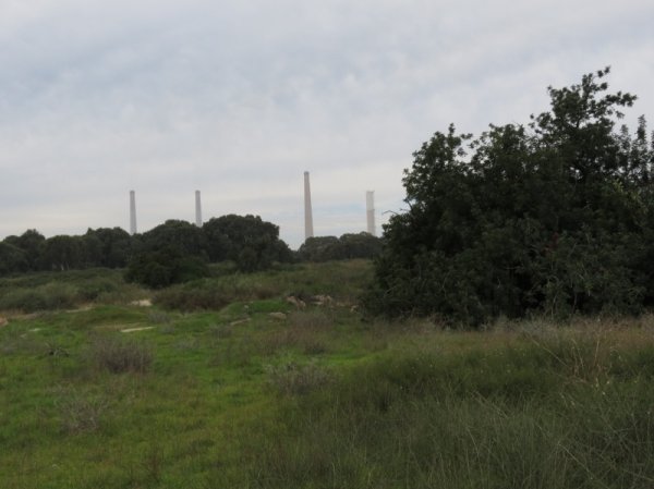 عرب الضمايرة | موسوعة القرى الفلسطينية