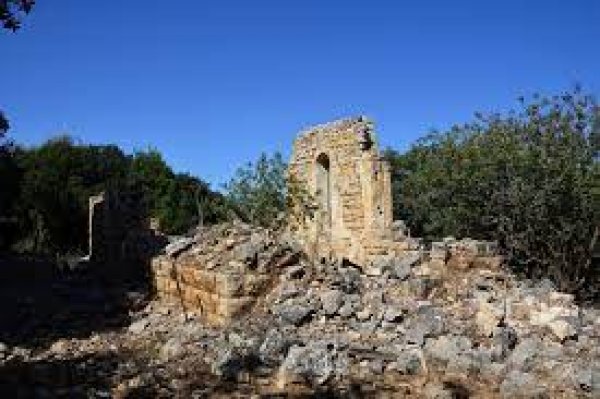 المنصورة | موسوعة القرى الفلسطينية