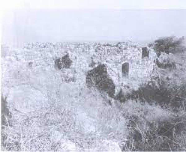 المنصورة | موسوعة القرى الفلسطينية