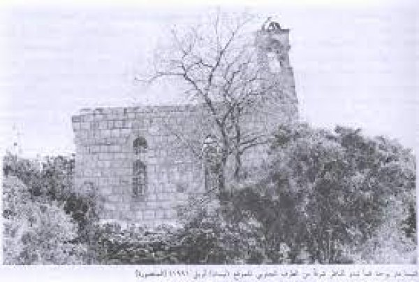 المنصورة | موسوعة القرى الفلسطينية