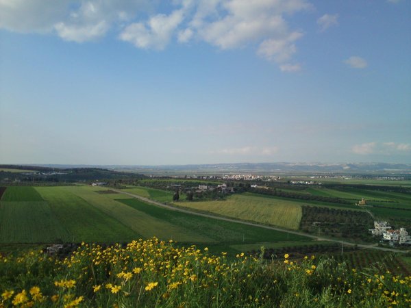 رُمَّانَة | موسوعة القرى الفلسطينية