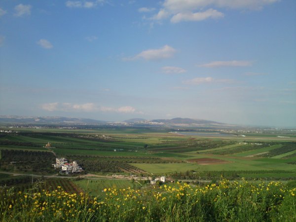 رُمَّانَة | موسوعة القرى الفلسطينية