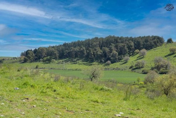 خبيزة / قرى الروحة | موسوعة القرى الفلسطينية