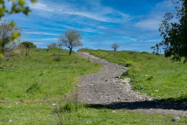 خبيزة / قرى الروحة | موسوعة القرى الفلسطينية