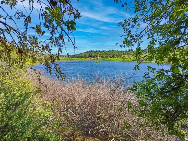 خبيزة / قرى الروحة | موسوعة القرى الفلسطينية