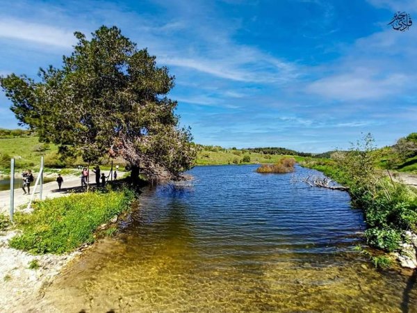 خبيزة / قرى الروحة | موسوعة القرى الفلسطينية