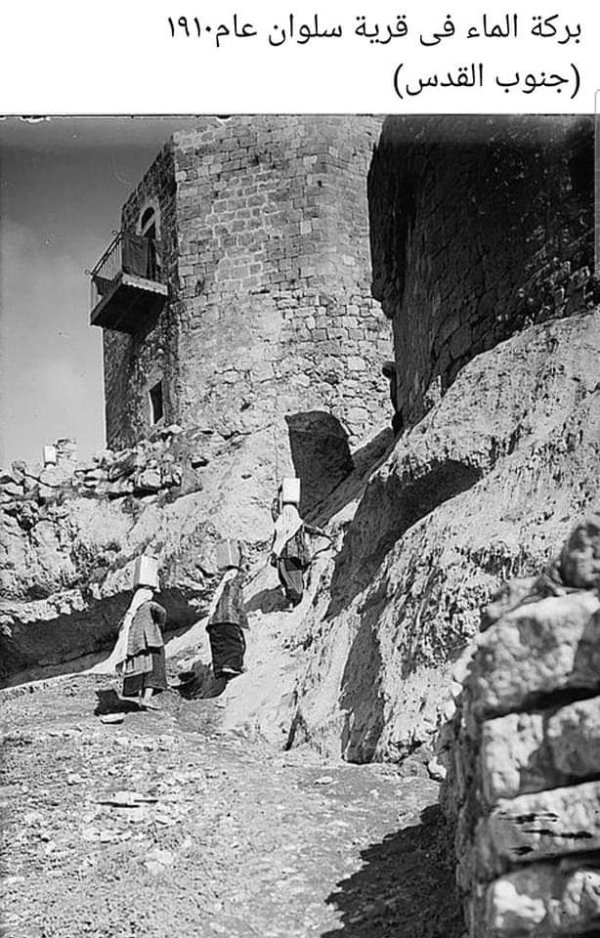 سلوان / حامية القدس | موسوعة القرى الفلسطينية