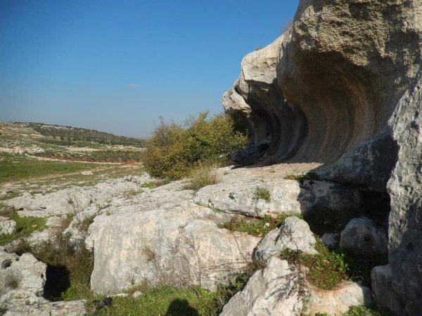 المَنْصورَة | موسوعة القرى الفلسطينية