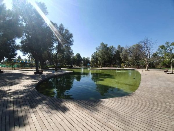 الشيخ دنون | موسوعة القرى الفلسطينية