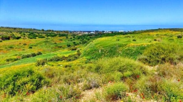 وادي حنين | موسوعة القرى الفلسطينية