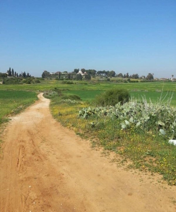 وادي حنين | موسوعة القرى الفلسطينية