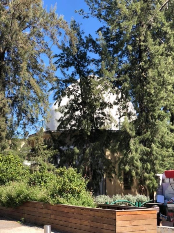 وادي حنين | موسوعة القرى الفلسطينية