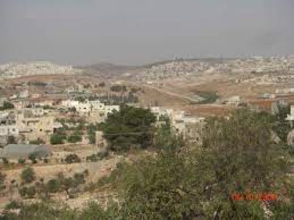 دار صلاح | موسوعة القرى الفلسطينية