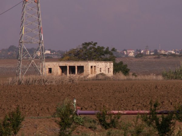 المَسْمِّية الكَبِيرَة | موسوعة القرى الفلسطينية