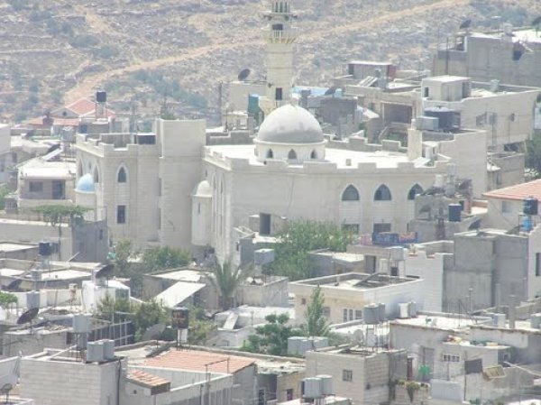 نحالين / من قرى عرقوب | موسوعة القرى الفلسطينية