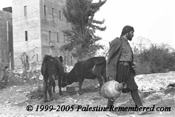 ترشيحا | موسوعة القرى الفلسطينية