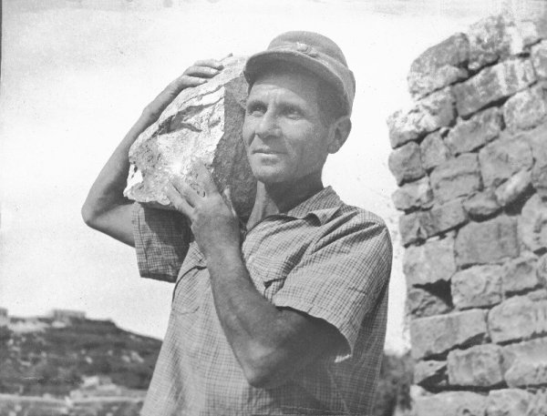 ترشيحا | موسوعة القرى الفلسطينية