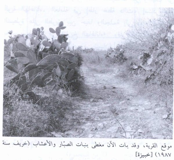 خبيزة / قرى الروحة | موسوعة القرى الفلسطينية