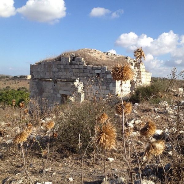 أم الشُّوفْ/ قرى الروحة | موسوعة القرى الفلسطينية