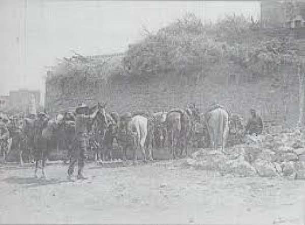 عَنَبْتَا | موسوعة القرى الفلسطينية