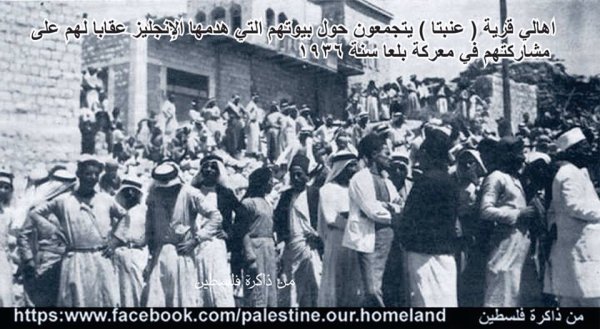 عَنَبْتَا | موسوعة القرى الفلسطينية