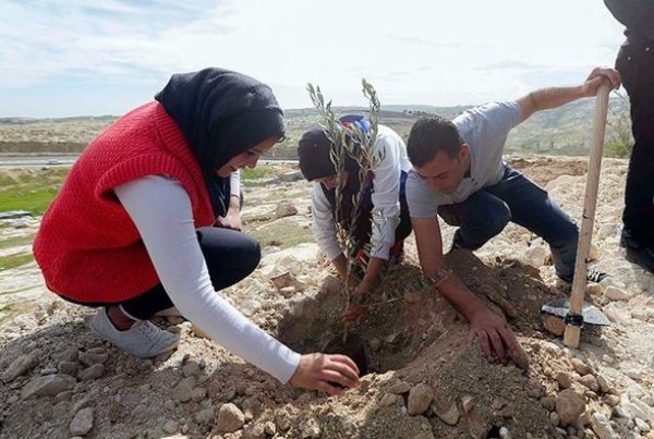 أبو دِيِسْ | موسوعة القرى الفلسطينية