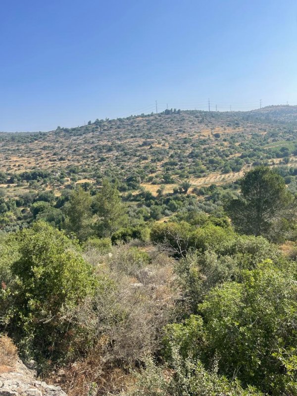 دير الشيخ / من قرى عرقوب | موسوعة القرى الفلسطينية