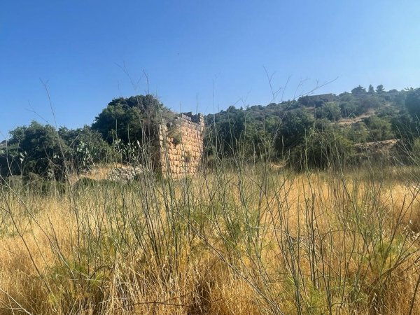 دير الشيخ / من قرى عرقوب | موسوعة القرى الفلسطينية