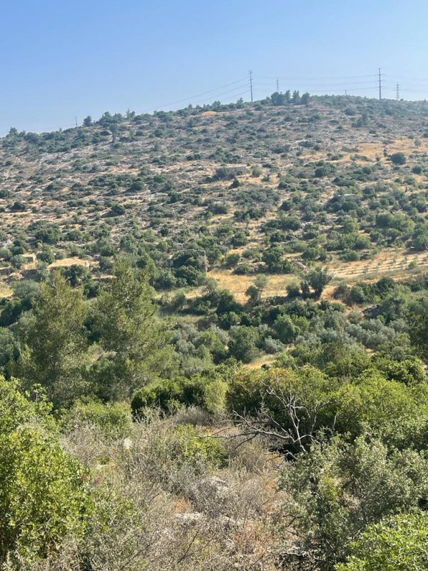 دير الشيخ / من قرى عرقوب | موسوعة القرى الفلسطينية