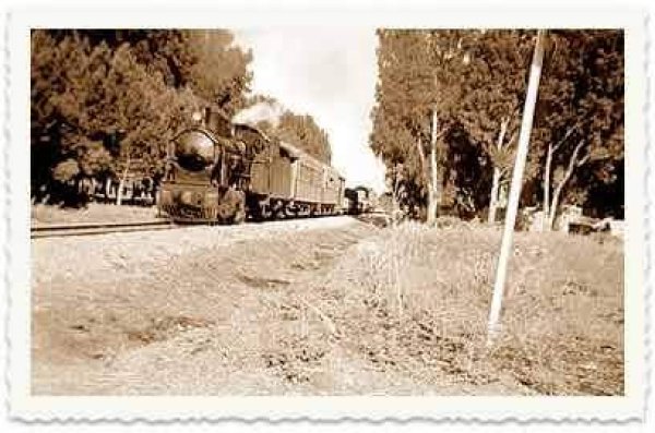 تل الشمام/ خربة دبّاشَة | موسوعة القرى الفلسطينية