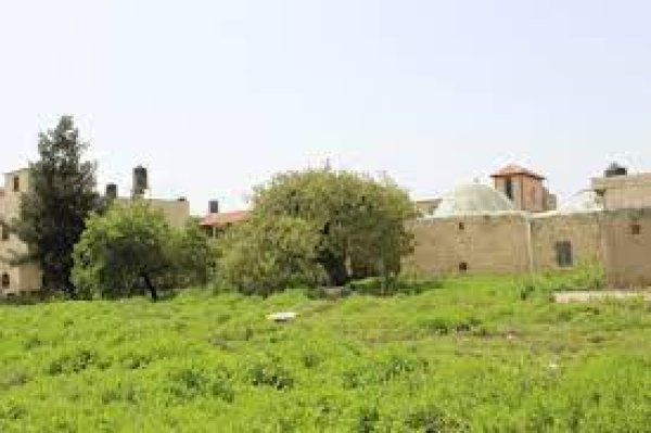 نَزْلَة الشَيْخ زَيْد/ نَزْلَة زَيْد | موسوعة القرى الفلسطينية