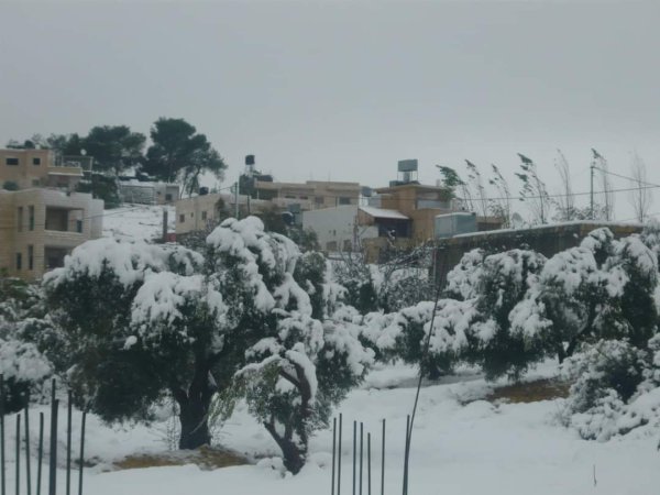 جبعة / الجبعة / من قرى عرقوب | موسوعة القرى الفلسطينية