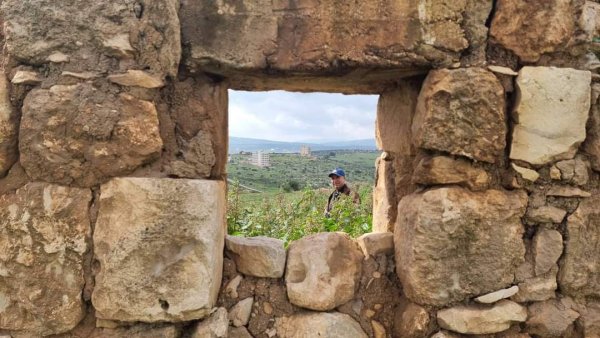 أمُّ التُوْت | موسوعة القرى الفلسطينية