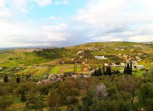 الزاوِيَة | موسوعة القرى الفلسطينية