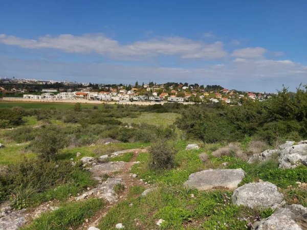 أُم الفَحْم/ قرى جنين المحتلة عام 1949 | موسوعة القرى الفلسطينية