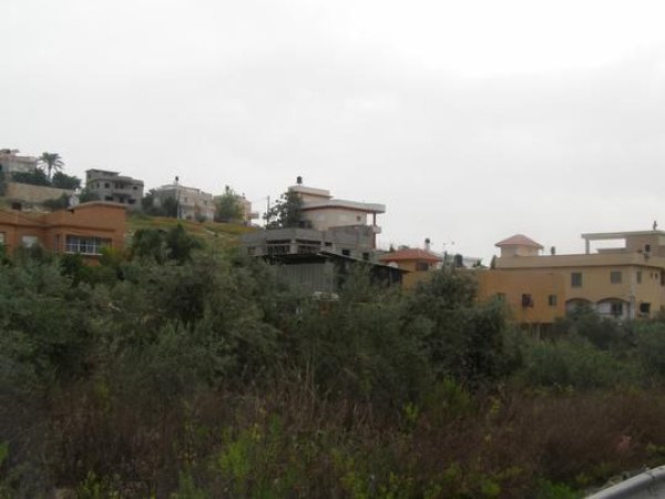 بَيَّاضَة/ قرى جنين المحتلة عام 1949 | موسوعة القرى الفلسطينية