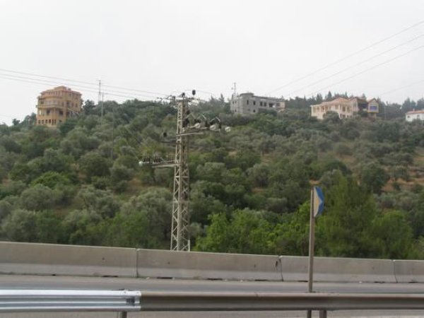 بَيَّاضَة/ قرى جنين المحتلة عام 1949 | موسوعة القرى الفلسطينية